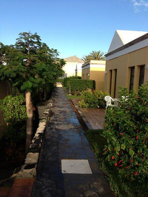Bungalows El Cardonal Sonnenland Kültér fotó